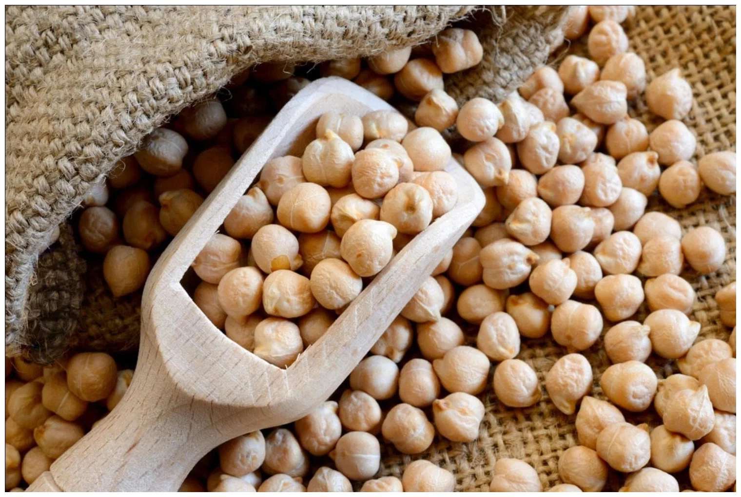 نخود کرمانشاه محلی دستچین شده ممتاز